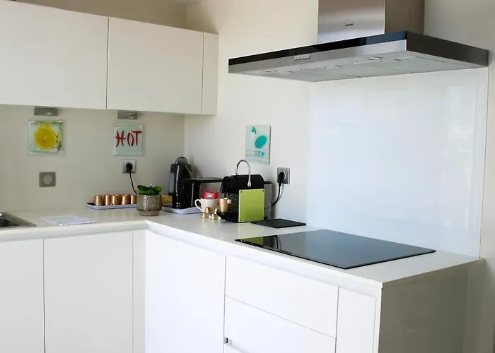 Duplex Climatise Avec Terrasse Vue Au Pied De La Apartment *