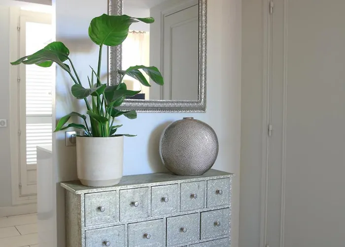 Duplex Climatise Avec Terrasse Vue Au Pied De La